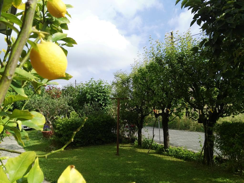 Casa Mite Apartment Pietrasanta Bagian luar foto